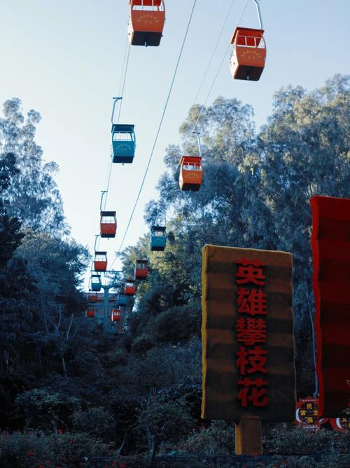 早8點的攀枝花公園