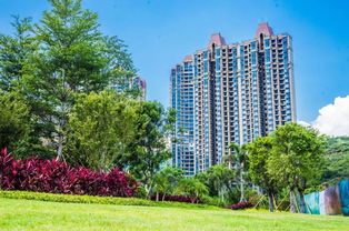 購房正當時 全員營銷月火熱開啟，攀枝花置業享好禮